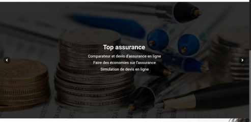 https://www.top-assurance.com