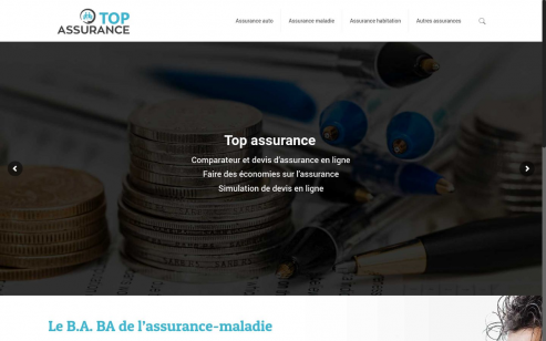 https://www.top-assurance.com